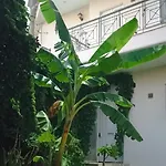 Vda * Calamata