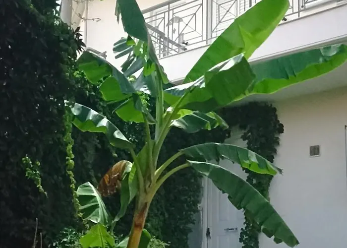 Vda Apartment Kalamata